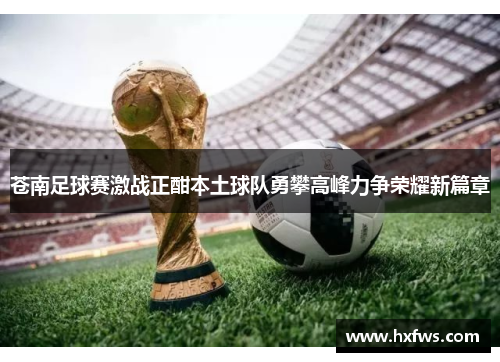 苍南足球赛激战正酣本土球队勇攀高峰力争荣耀新篇章